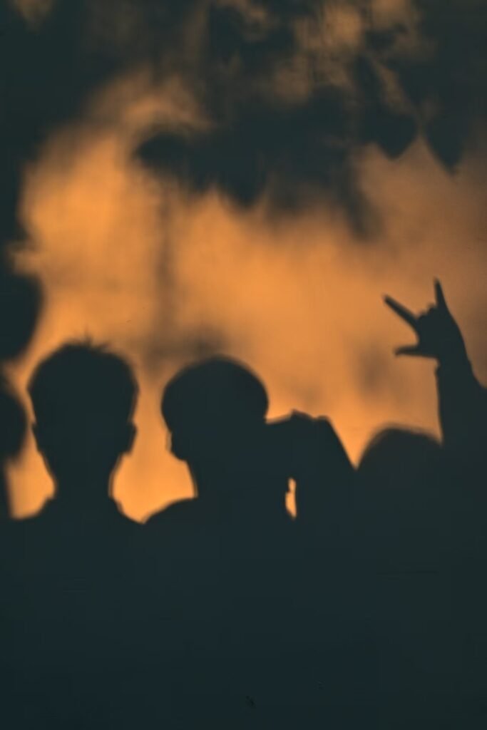 2026.1.9拍摄的作品